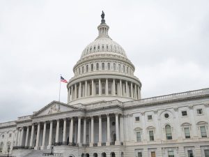 Instagram-congress7