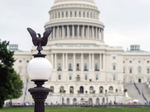 Instagram-congress16