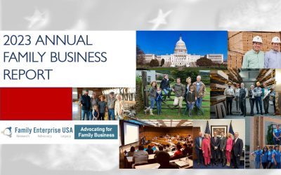 2023 Annual Family Business Report