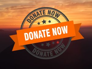 Instagram-giving-donate