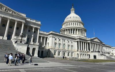 Tax Update: Senate Republicans Release Tax Text