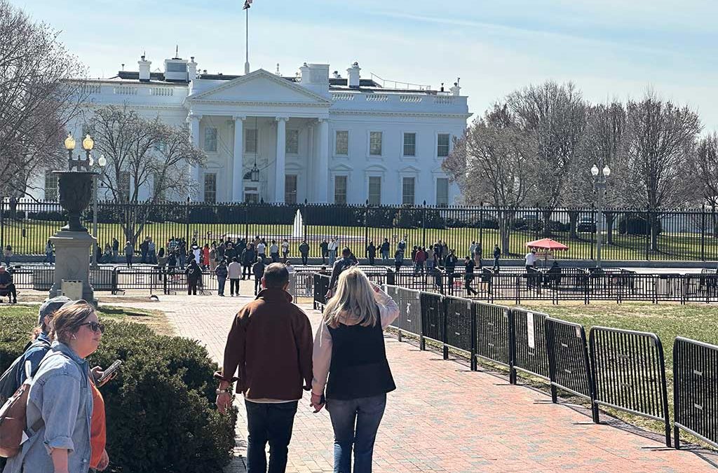US Economic Outlook July 2025