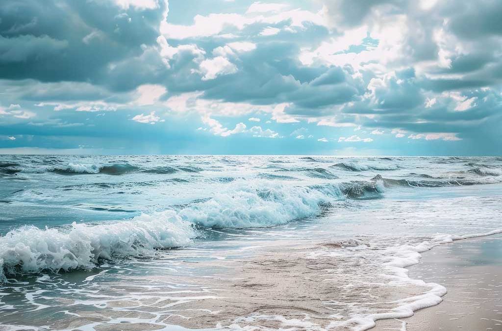 Preserving Legacy Beyond the Operating Business: Evolving from Operator to Investor