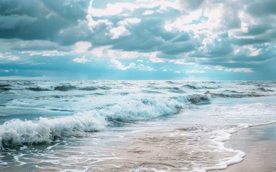 Preserving Legacy Beyond the Operating Business: Evolving from Operator to Investor