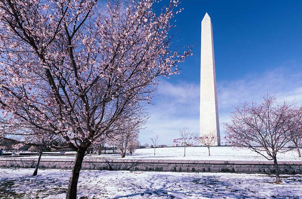 Taxation & Representation: Bipartisan IRS Reform. What's Really Changing?