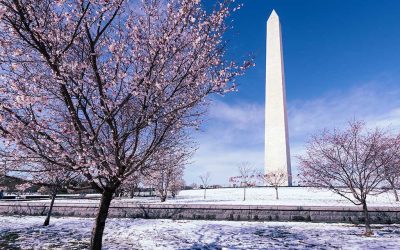 Taxation & Representation: Bipartisan IRS Reform. What’s Really Changing?