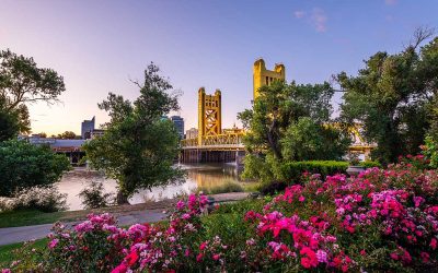 Soldano to Present Survey Findings at FBA of California Conference