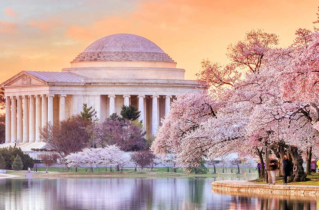 Taxation & Representation: The tax move Congress didn’t tell you about yet