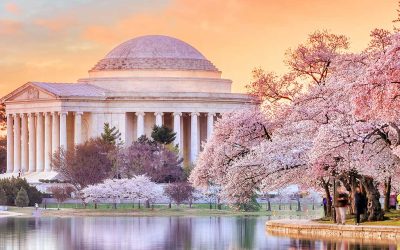 Taxation & Representation: The tax move Congress didn’t tell you about yet