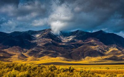 The Nevada Advantage: Strategic Trust and Tax Planning for the Modern Family Business