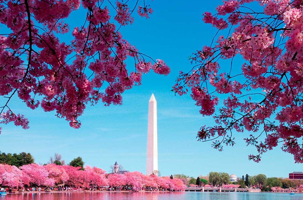 Washington Update: New Tax Proposals Are Quietly Gaining Momentum