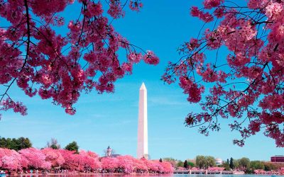 At Family Enterprise USA we provide a number membership opportunities to accommodate all levels of commitment. We exist solely for, and are supported by, family businesses. Washington Update: New Tax Proposals Are Quietly Gaining Momentum