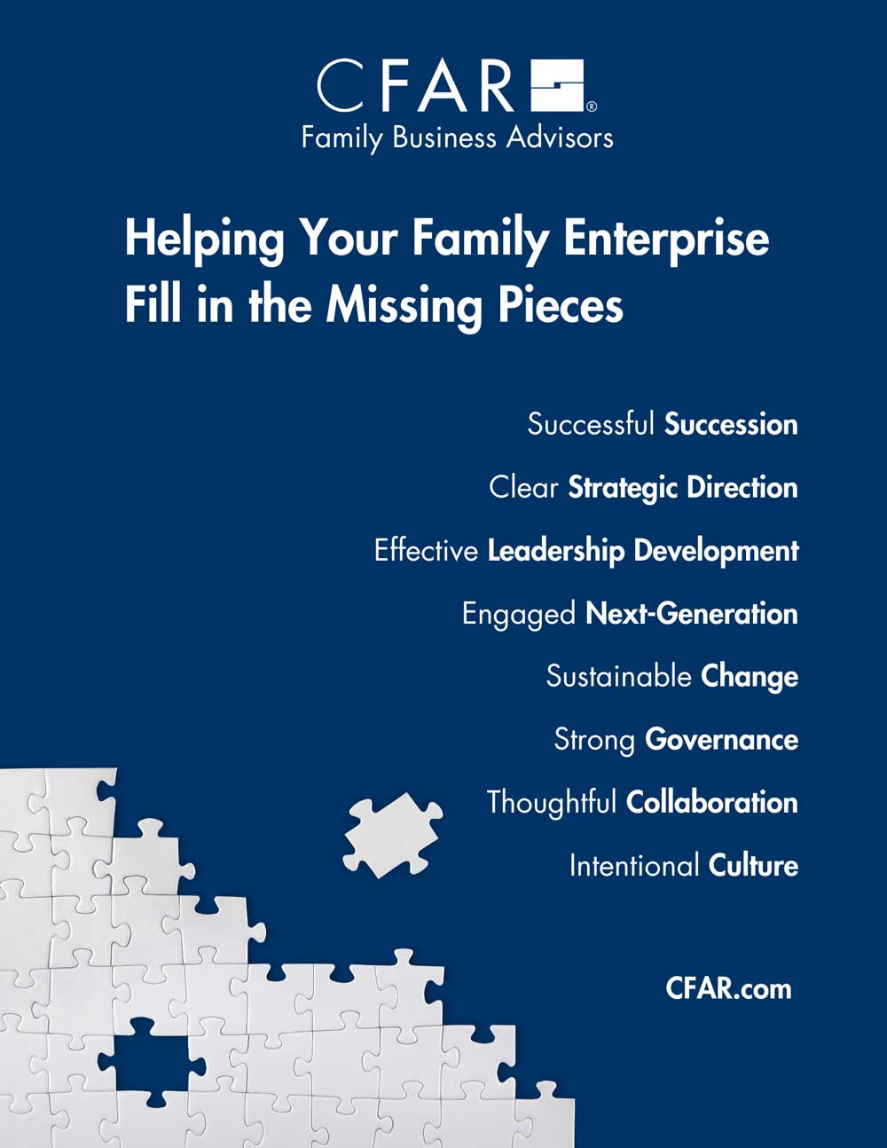 Family Enterprises and Owner-Led Businesses